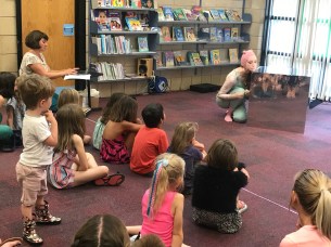 kin-quedgeley-louise-bargette-art-of-libraries7